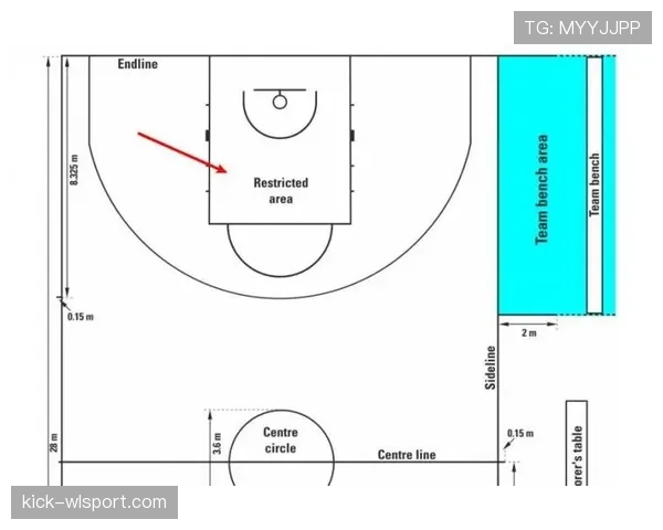 罚球规则NBA与FIBA区别：规则层面全面解析